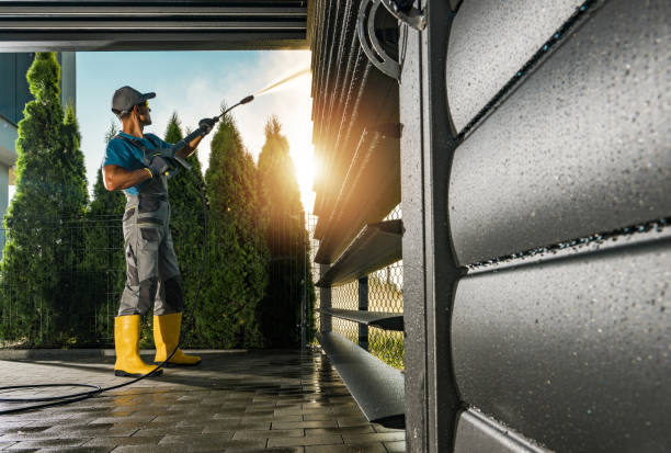 Best Graffiti Removal  in La Mirada, CA